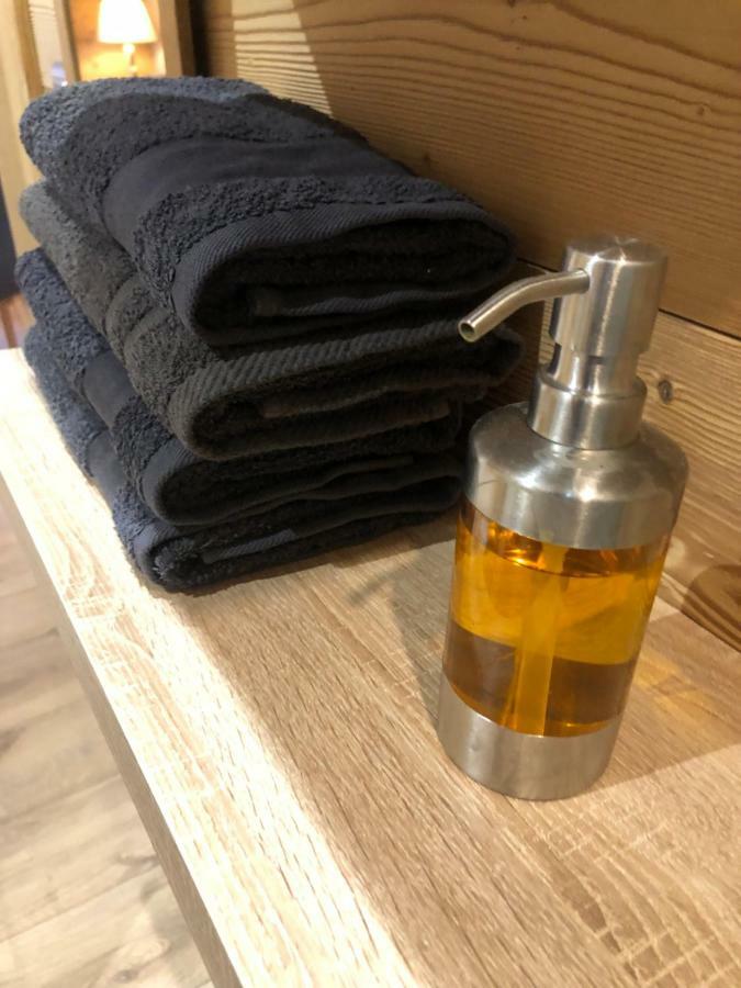 阿尔利河畔普拉兹Fleur Des Montagnes公寓 外观 照片